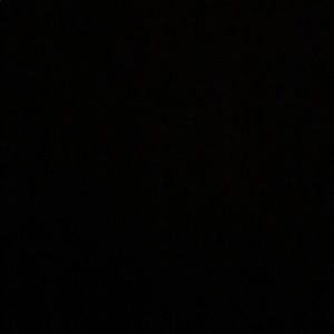 Meet your Posher, Lily